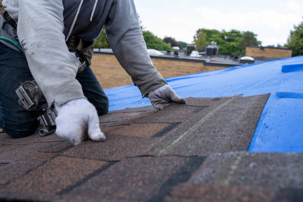 Quick and Trustworthy Emergency Roof Repair Services in Sulphur Springs, TX